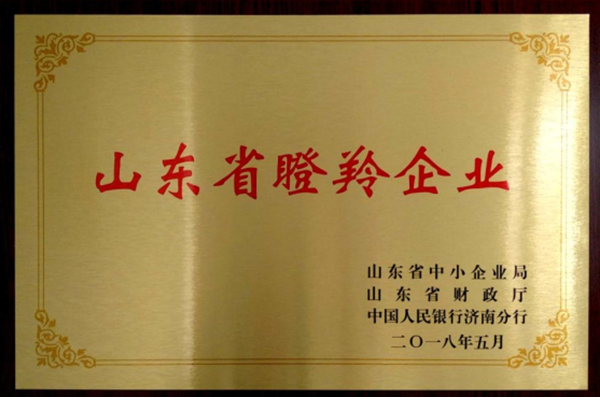 山東省瞪羚(ling)企業