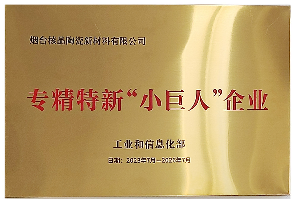 專精特新(xin)“小巨人”企業(yè)
