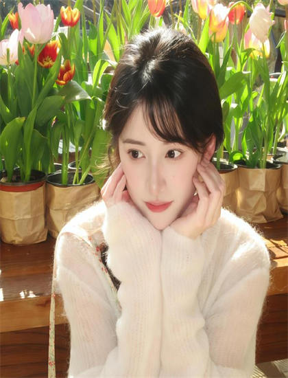 收藏必备：《探险活宝 第八季》各平台观看指南：播放渠道与版本选择